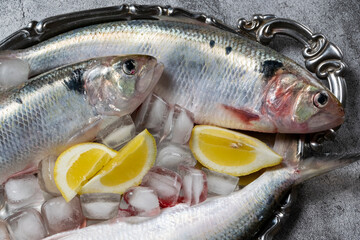 Uncooked fresh sea fishes on a silver plate