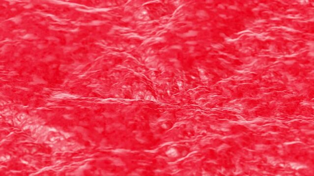 Abstract Waving Gross Red Granulation Tissue