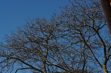 Paesaggio in montagna
