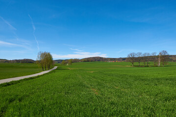Sohland an der Spree im Frühjahr	
