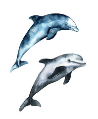Watercolor Dolphin collection isolated on white background. Cute cartoon underwater animals illustration. High quality illustration