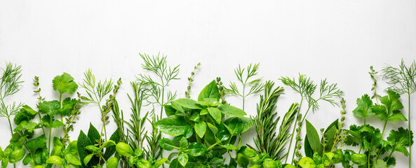 Various fresh herbs arranged in a frame. Cooking concept with spices garden herbs. Healthy food.Top view. - obrazy, fototapety, plakaty