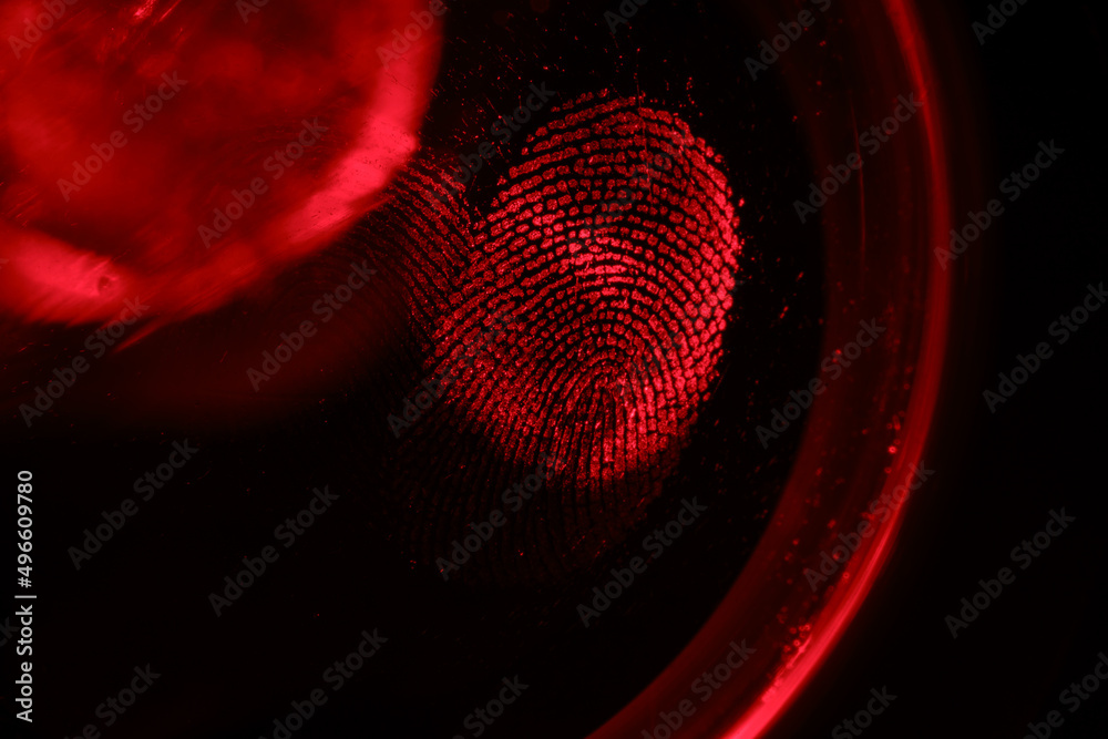 Fototapete beautiful abstract red colored fingerprint on background texture for design. macro photography view.