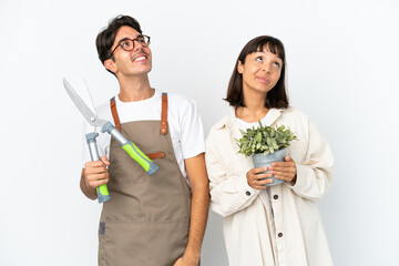 Young mixed race gardeners holding a plant and pruning shears isolated on white background looking...
