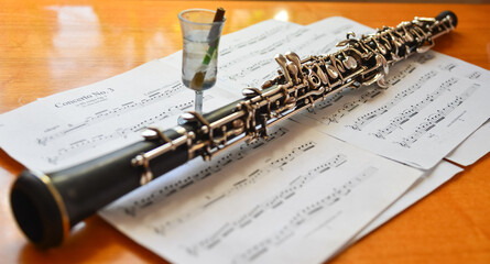 Oboe, classical woodwind musical instrument