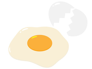 生卵と割れた卵の殻