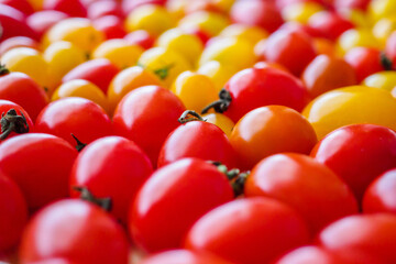 Red ripe organic tomato background