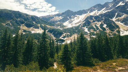 Beautiful landscape with snow mountain in background.