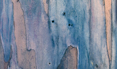 Legno