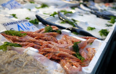 Prawns and other seafood on ice on display at a fish market