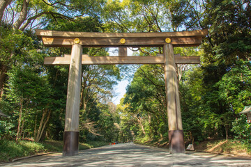 Torii (traditional Japanese gate) in a forest on the way to Meiji-jingu Shinto Shrine in Shibuya, Tokyo, Japan