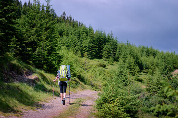 Obraz premium Active lifestyle. Trekking and hiking.Tourist with backpacks in the mountains forest.