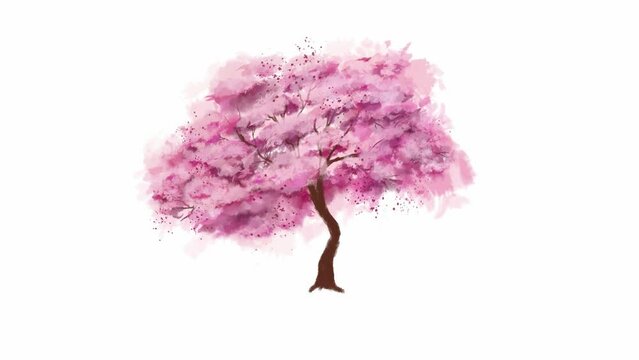frame animation dancing blooming spring sakura