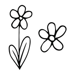 Doodle line art doodle flowers on white background. Vector illustration.