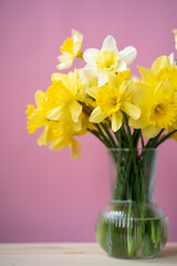 bouquet of yellow daffodils in a vase on a bright background, spring flowers
