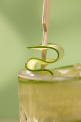 Cool Cucumber Gin Fizz 