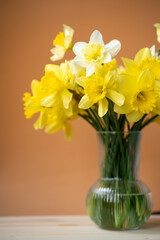 bouquet of yellow daffodils in a vase on a bright background, spring flowers