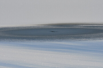Dünnes Eis auf einem See
