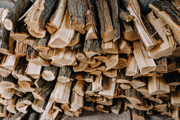Logs chopped with an ax, dry acacia firewood, spruce for heating lie in a row close-up in the forest.