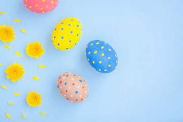 Colorful eggs and yellow Chrysanthemum flowers on blue background