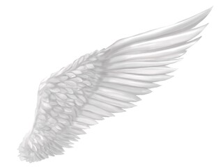 白い片翼　素材イラスト