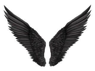 黒の翼　素材イラスト