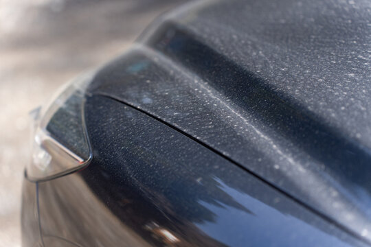 砂埃 Images Browse 165 Stock Photos Vectors And Video Adobe Stock