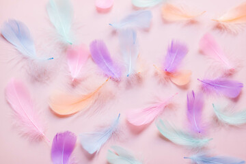 Fototapeta na wymiar Pastel color feathers on pink background.