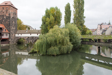 Grüne Insel im Fluss