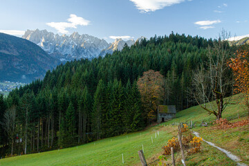 Gosau
