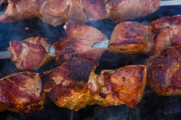 grilled meat on the grill