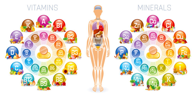 Vitamin, mineral and human body infographic. Nutrition food classification. Magnesium calcium potassium selenium phosphorus zinc mineral, A B C D E vitamin. Healthy supplement for pregnancy, immunity