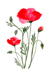 Watercolor poppies. Red flowers bouquet. Greeting card design template