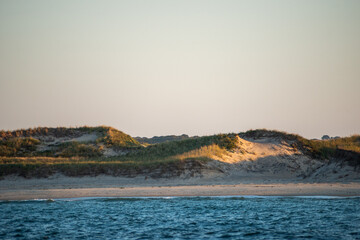 Fototapeta premium Martha's Vineyard Sand Dunes on Beach