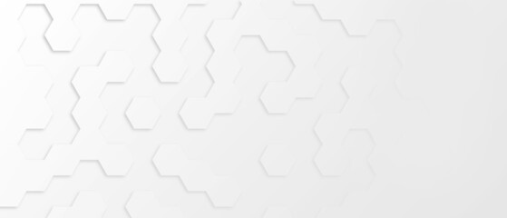 white Hexagon background wallpaper banner with copy space