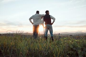 Agriculture engenders good sense. Shot of two farmers standing on a farm during sunset.