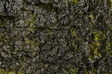 Tasty nori seaweed isolated on white.