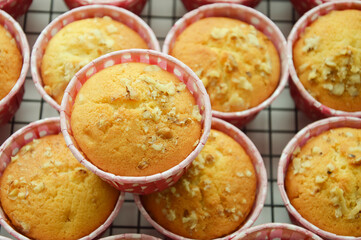 creamy cupcake with nuts in pink shape. homemade cakes, sweet dessert.