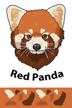 Red panda head of wild animal living in nature with a print texture of the skin