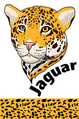 Jaguar head of wild animal living in nature with a print texture of the skin © Sg.Lapchi