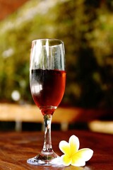 glass of red wine and flower frangipani