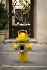 A fire hydrant in front of a house