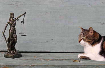 Die Rechte der Tiere. Eine Katze und eine Justitia Figur auf einem Holzuntergrund
