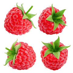 Raspberry isolated on white background, clipping path, full depth of field