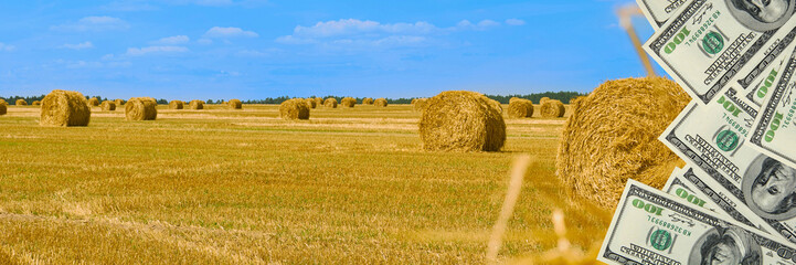 World food crisis of rising food prices concept. Increase in price of wheat seedson with dollar...