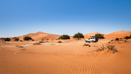 Fototapeta na wymiar desert exploration 