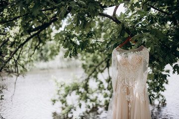 wedding dress hanging on a tree over the lake