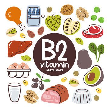 Food products with high levels of Vitamin B2 (Riboflavin). Cooking ingredients. Fruits, vegetables, meat, nuts, dairy products.
