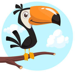 Toucan cartoon. Vector toucan bird. Exotic colorful bird illustration © drawkman