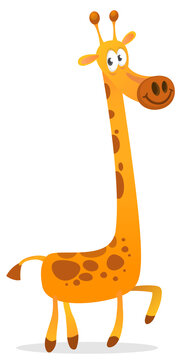 Funny giraffe cartoon design. Vector illustration isolated on white